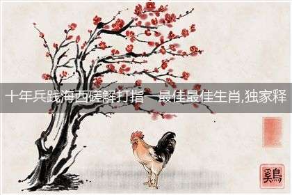 十年兵践海西磋解打指一最佳最佳生肖,独家释义词语解释!