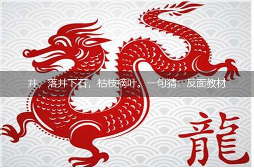 井,落井下石,枯枝摘叶。一句猜:反面教材看老子。提供:(停6)打一最佳准确生肖,解释落实成语释义