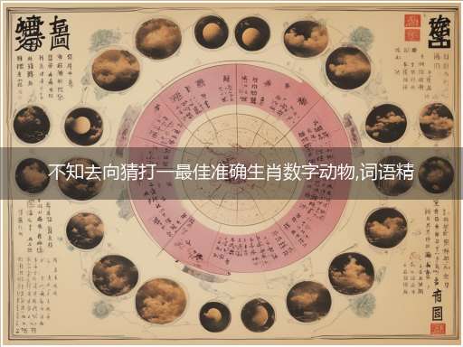 不知去向猜打一最佳准确生肖数字动物,词语精选释义落实解释