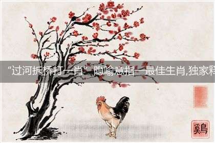 “过河拆桥打一肖”隐喻意指一最佳生肖,独家释义词语解释解析!
