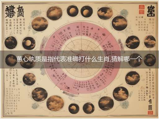 蕙心纨质是指代表准确打什么生肖,猜解哪一个最佳作答成语解释释义