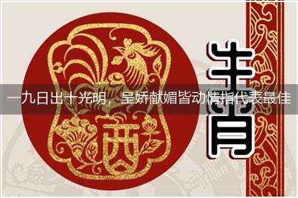 一九日出十光明,呈娇献媚皆动情指代表最佳什么生肖,释义作答谜底解释答案
