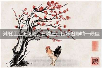 斜阳江上正飞鸿，日驰三百自嫌迟隐喻一最佳生肖,独家释义词语解释!