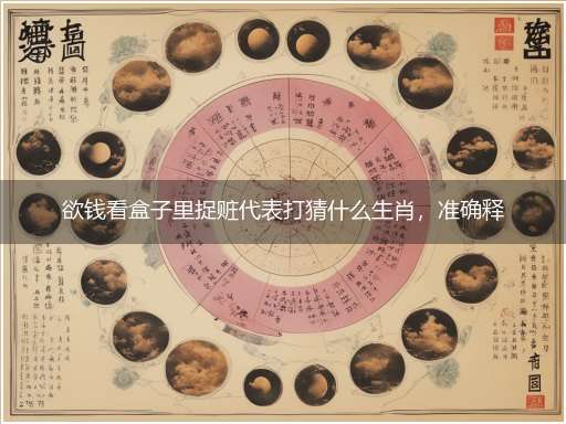 欲钱看盒子里捉赃代表打猜什么生肖,准确释义最佳成语解释